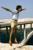 Ferihegy LHBP Airport - rwys and parking area all black - last post by Fulvio