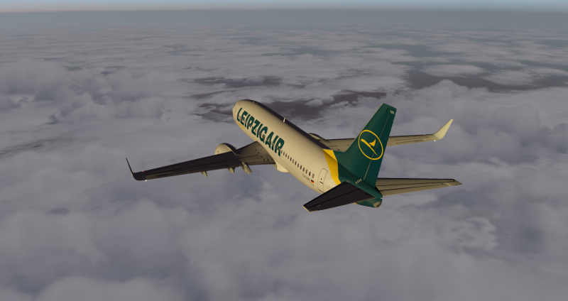B733_5.png