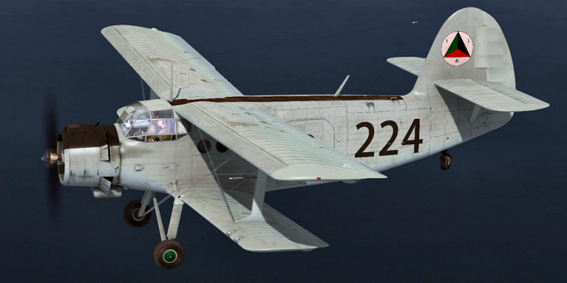 AAF224.png