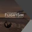 FlightSim301