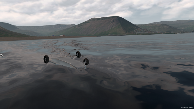 2106187311_KodiaklerntRckenschwimmen!.thumb.png.bcbf9dd46db392aad9073a25e8045015.png