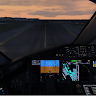 The Introvert Flight Simmer