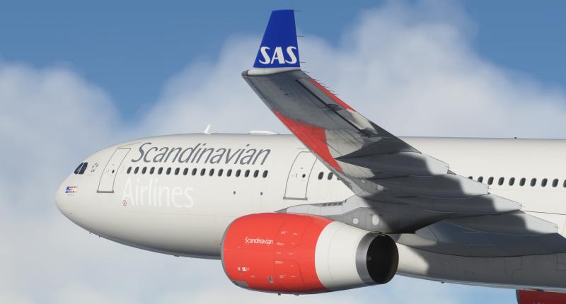 SAS_A330_002.jpg