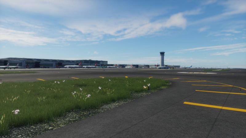 AS_LTFM_Istanbul_XP12 (24).jpg