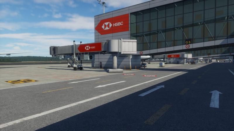 AS_LTFM_Istanbul_XP12 (31).jpg