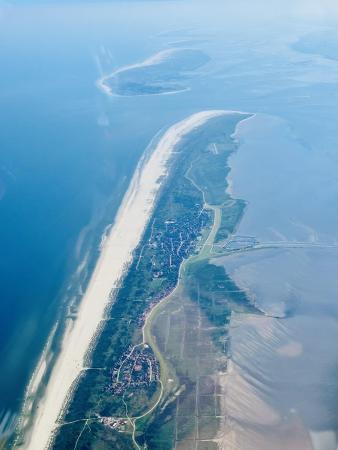 IMG_0294.jpg
