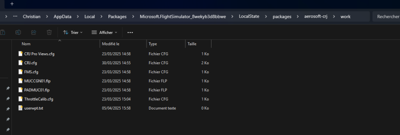 Microsoft.FlightSimulator_8wek_Work_Folder.png