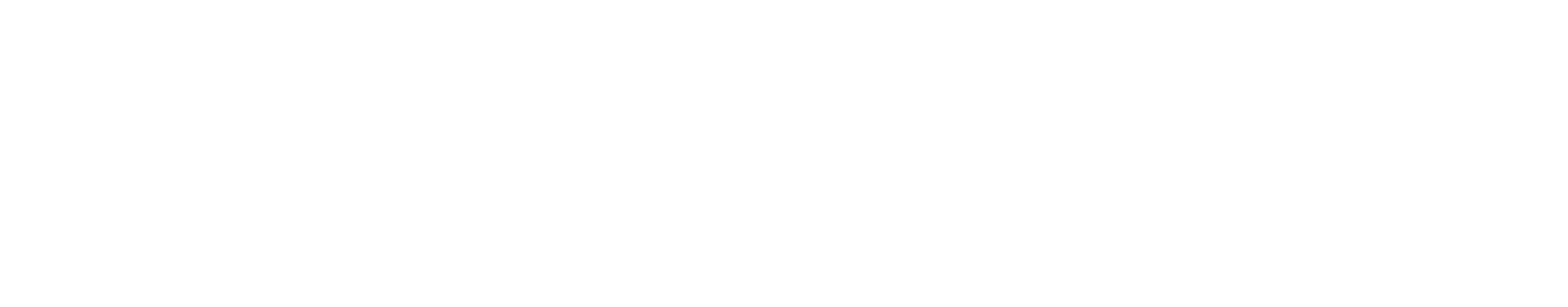 AEROSOFT COMMUNITY SERVICES